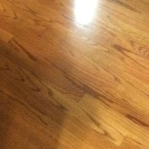 Meet your Posher, Stella